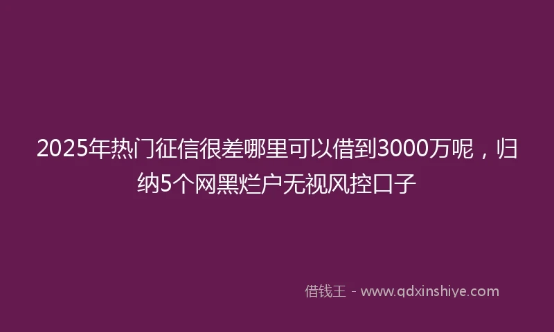 2025年热门征信很差哪里可以借到3000万呢，归纳5个网黑烂户无视风控口子