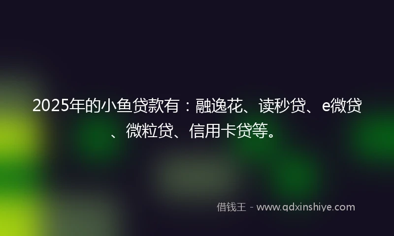 2025年的小鱼贷款有：融逸花、读秒贷、e微贷、微粒贷、信用卡贷等。