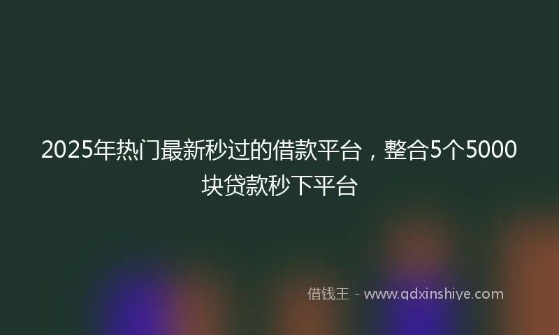 2025年热门最新秒过的借款平台，整合5个5000块贷款秒下平台