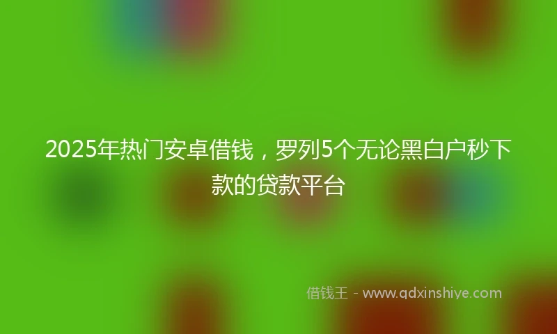 2025年热门安卓借钱，罗列5个无论黑白户秒下款的贷款平台