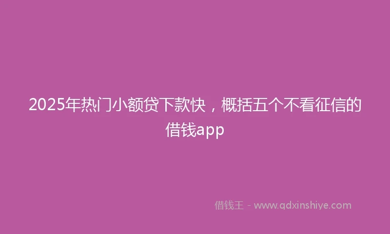 2025年热门小额贷下款快，概括五个不看征信的借钱app