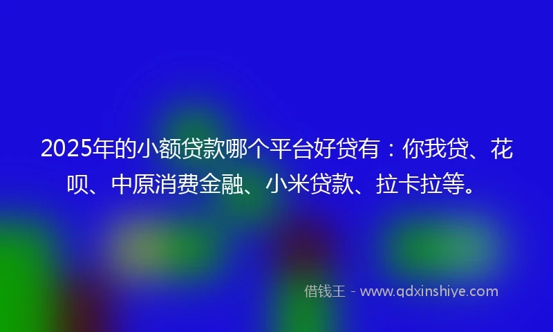 2025年的小额贷款哪个平台好贷有：你我贷、花呗、中原消费金融、小米贷款、拉卡拉等。