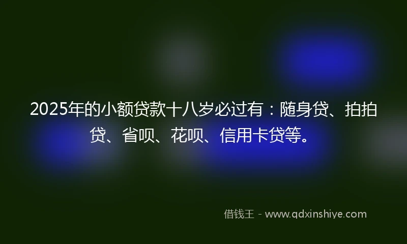 2025年的小额贷款十八岁必过有：随身贷、拍拍贷、省呗、花呗、信用卡贷等。