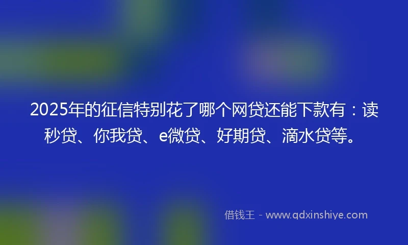 2025年的征信特别花了哪个网贷还能下款有：读秒贷、你我贷、e微贷、好期贷、滴水贷等。