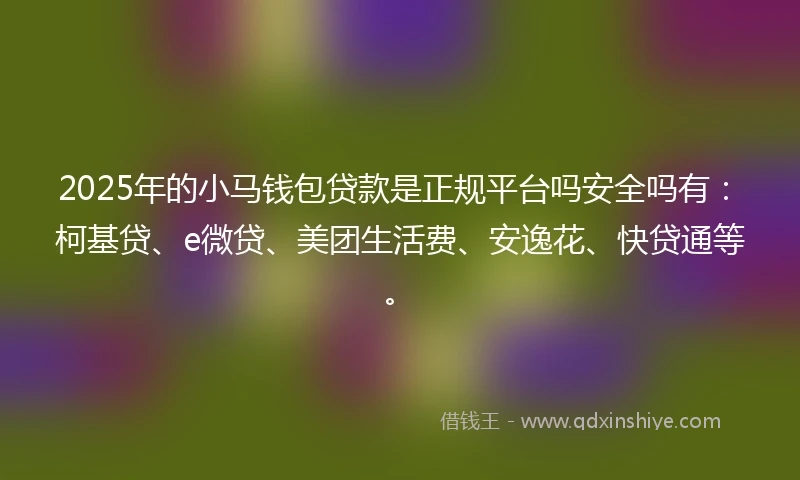 2025年的小马钱包贷款是正规平台吗安全吗有：柯基贷、e微贷、美团生活费、安逸花、快贷通等。