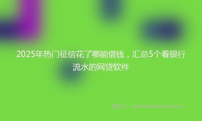 2025年热门征信花了哪能借钱，汇总5个看银行流水的网贷软件