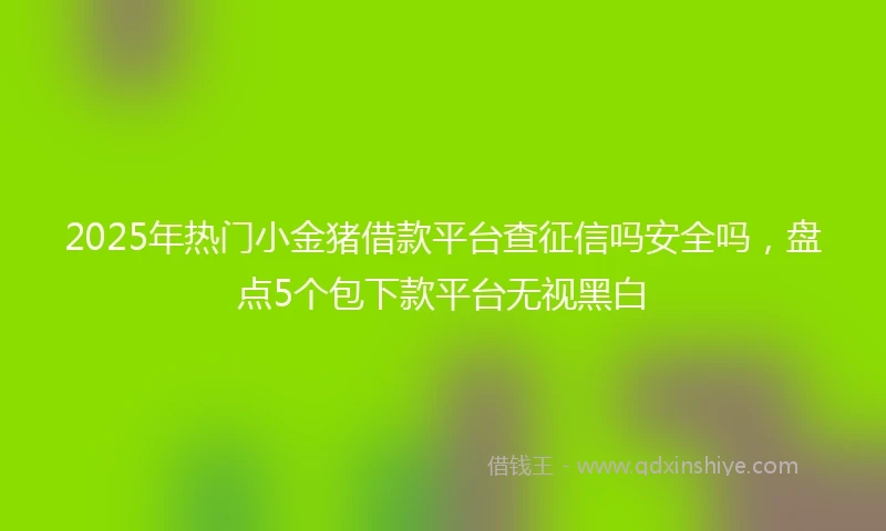 2025年热门小金猪借款平台查征信吗安全吗，盘点5个包下款平台无视黑白