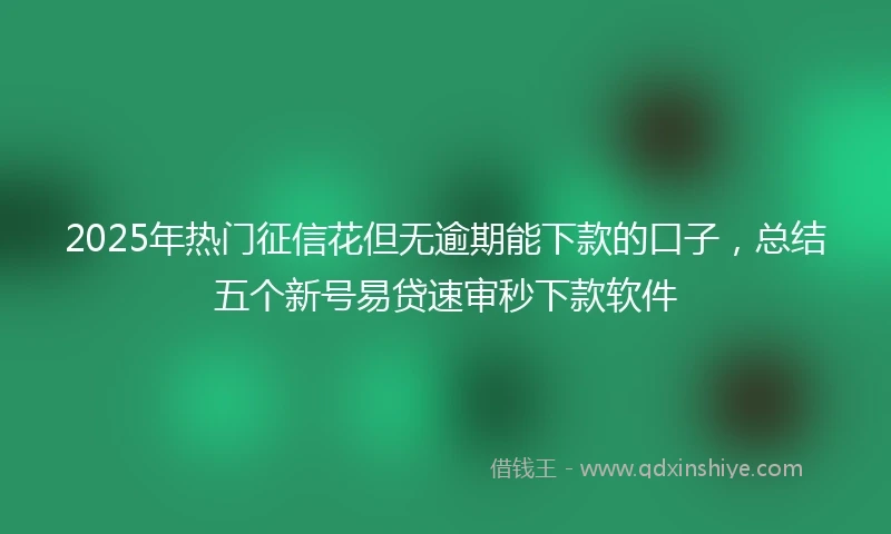 2025年热门征信花但无逾期能下款的口子,总结五个新号易贷速审秒下款软件