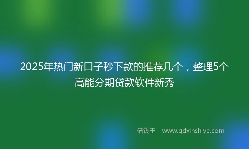 2025年热门新口子秒下款的推荐几个，整理5个高能分期贷款软件新秀