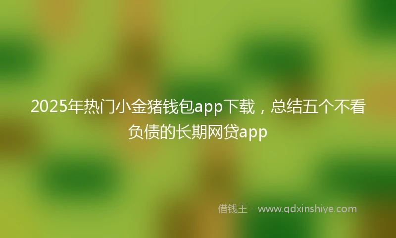 2025年热门小金猪钱包app下载，总结五个不看负债的长期网贷app