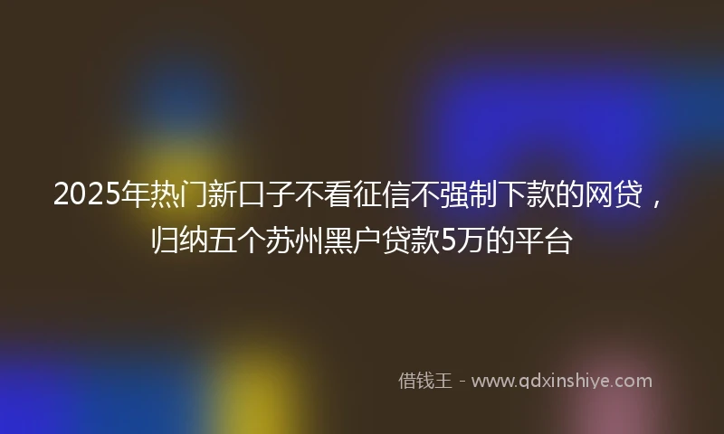 2025年热门新口子不看征信不强制下款的网贷，归纳五个苏州黑户贷款5万的平台