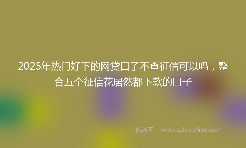 2025年热门好下的网贷口子不查征信可以吗，整合五个征信花居然都下款的口子