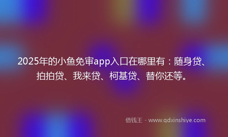 2025年的小鱼免审app入口在哪里有：随身贷、拍拍贷、我来贷、柯基贷、替你还等。