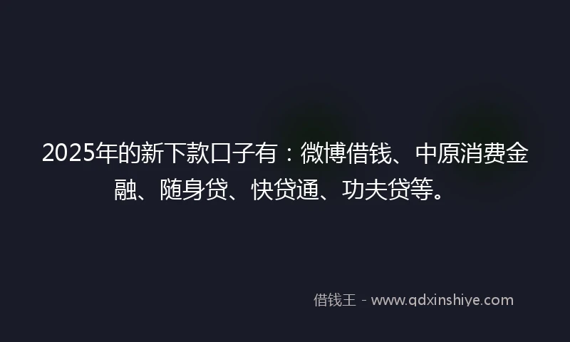 2025年的新下款口子有：微博借钱、中原消费金融、随身贷、快贷通、功夫贷等。