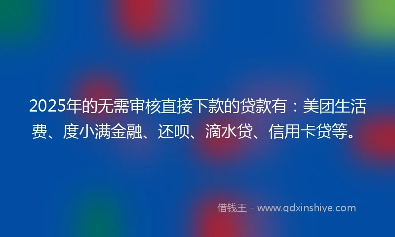 2025年的无需审核直接下款的贷款有：美团生活费、度小满金融、还呗、滴水贷、信用卡贷等。