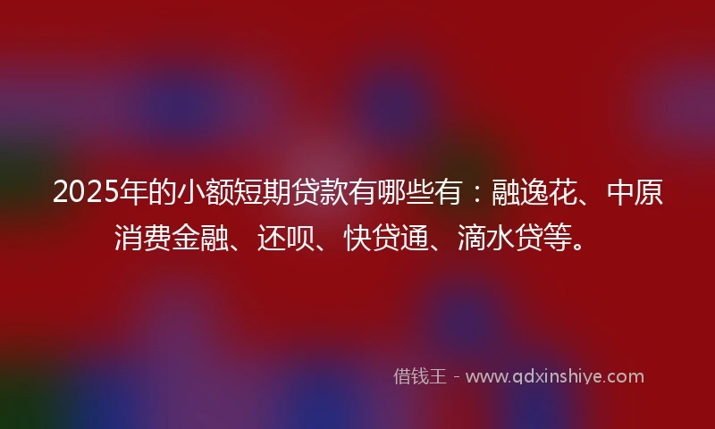 2025年的小额短期贷款有哪些有：融逸花、中原消费金融、还呗、快贷通、滴水贷等。
