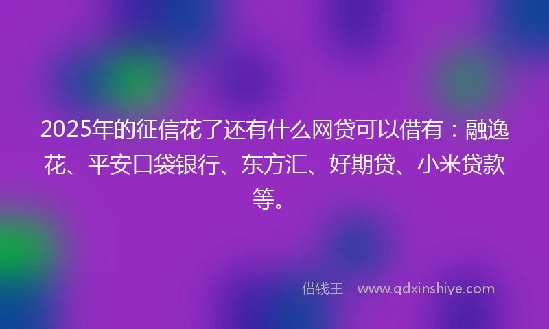 2025年的征信花了还有什么网贷可以借有：融逸花、平安口袋银行、东方汇、好期贷、小米贷款等。