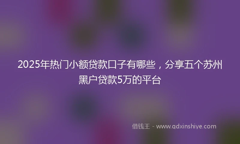 2025年热门小额贷款口子有哪些，分享五个苏州黑户贷款5万的平台