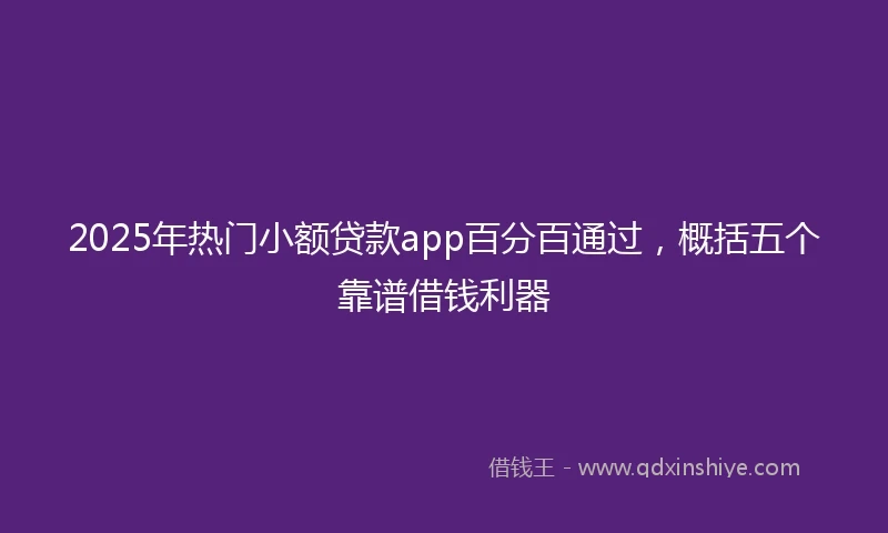 2025年热门小额贷款app百分百通过，概括五个靠谱借钱利器