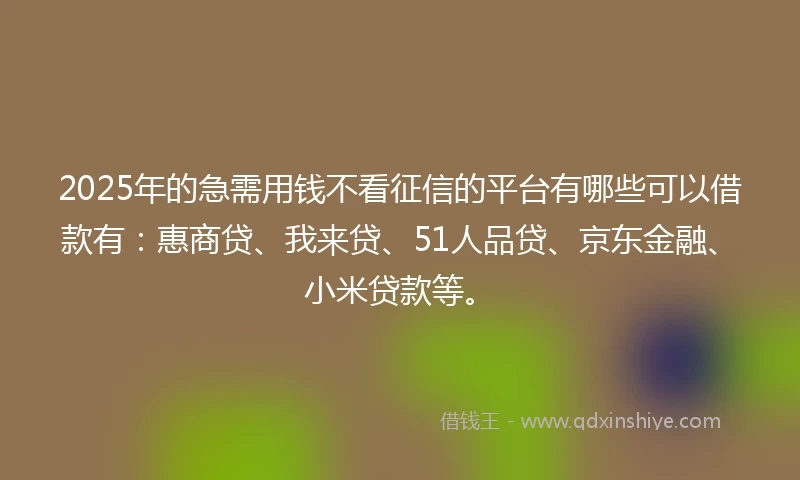 2025年的急需用钱不看征信的平台有哪些可以借款有：惠商贷、我来贷、51人品贷、京东金融、小米贷款等。