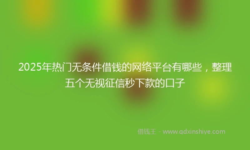 2025年热门无条件借钱的网络平台有哪些，整理五个无视征信秒下款的口子