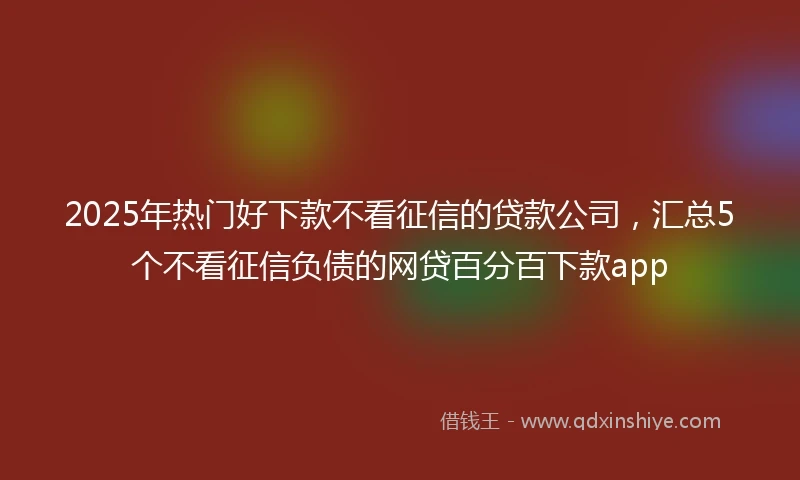 2025年热门好下款不看征信的贷款公司，汇总5个不看征信负债的网贷百分百下款app