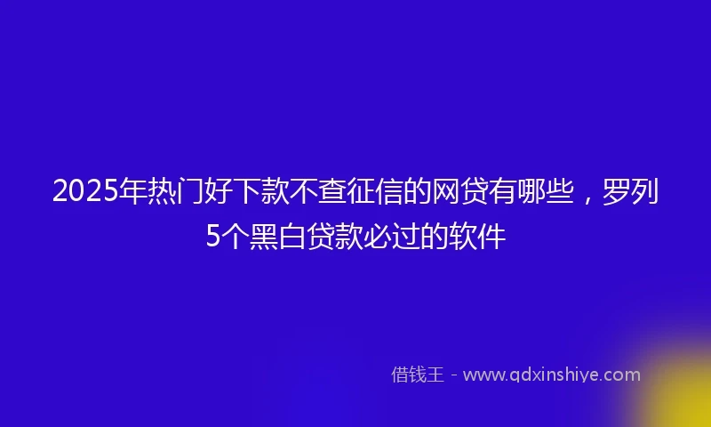 2025年热门好下款不查征信的网贷有哪些，罗列5个黑白贷款必过的软件