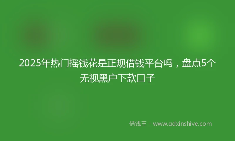 2025年热门摇钱花是正规借钱平台吗，盘点5个无视黑户下款口子