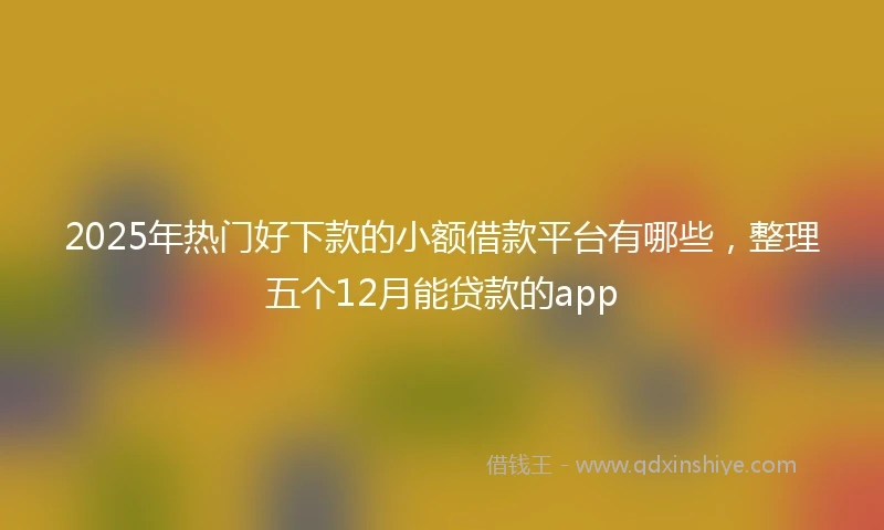 2025年热门好下款的小额借款平台有哪些，整理五个12月能贷款的app