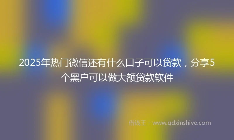 2025年热门微信还有什么口子可以贷款，分享5个黑户可以做大额贷款软件
