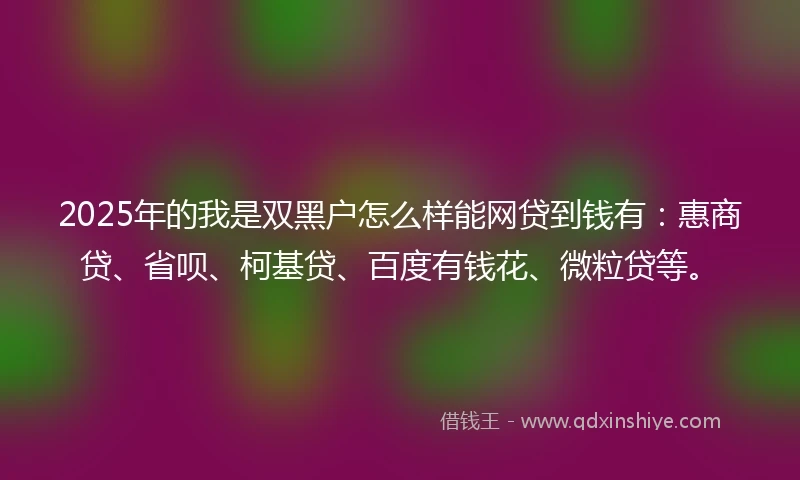2025年的我是双黑户怎么样能网贷到钱有：惠商贷、省呗、柯基贷、百度有钱花、微粒贷等。