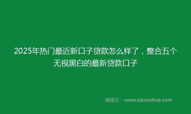 2025年热门最近新口子贷款怎么样了，整合五个无视黑白的最新贷款口子
