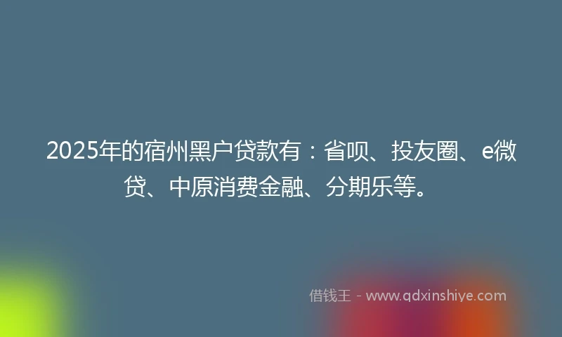2025年的宿州黑户贷款有：省呗、投友圈、e微贷、中原消费金融、分期乐等。