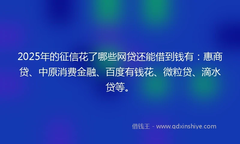 2025年的征信花了哪些网贷还能借到钱有：惠商贷、中原消费金融、百度有钱花、微粒贷、滴水贷等。