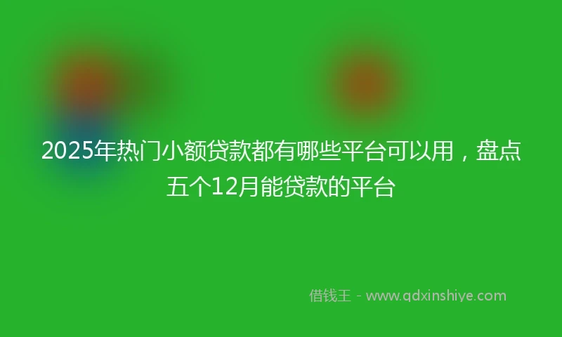 2025年热门小额贷款都有哪些平台可以用，盘点五个12月能贷款的平台