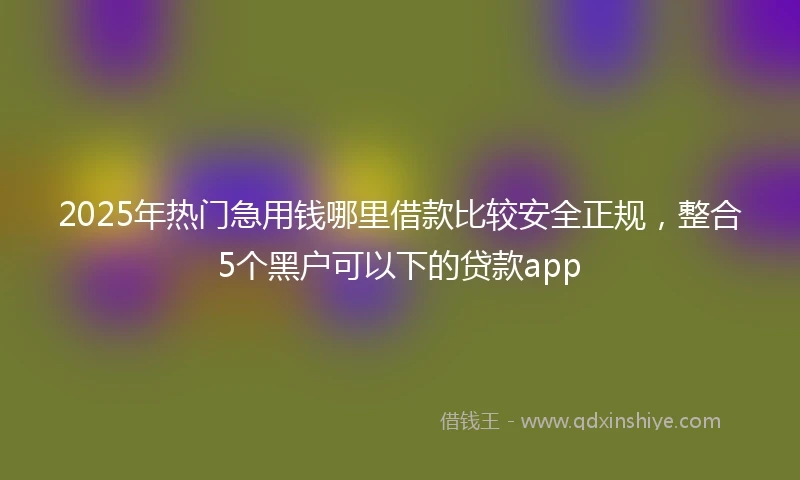2025年热门急用钱哪里借款比较安全正规，整合5个黑户可以下的贷款app