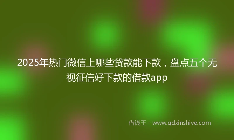 2025年热门微信上哪些贷款能下款，盘点五个无视征信好下款的借款app