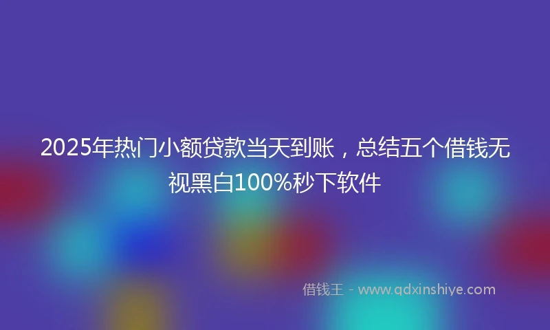 2025年热门小额贷款当天到账，总结五个借钱无视黑白100%秒下软件
