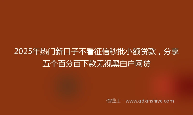 2025年热门新口子不看征信秒批小额贷款，分享五个百分百下款无视黑白户网贷