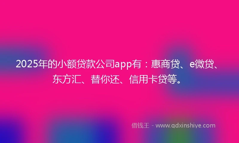 2025年的小额贷款公司app有：惠商贷、e微贷、东方汇、替你还、信用卡贷等。
