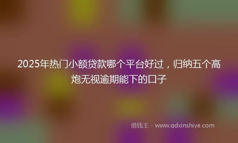 2025年热门小额贷款哪个平台好过，归纳五个高炮无视逾期能下的口子