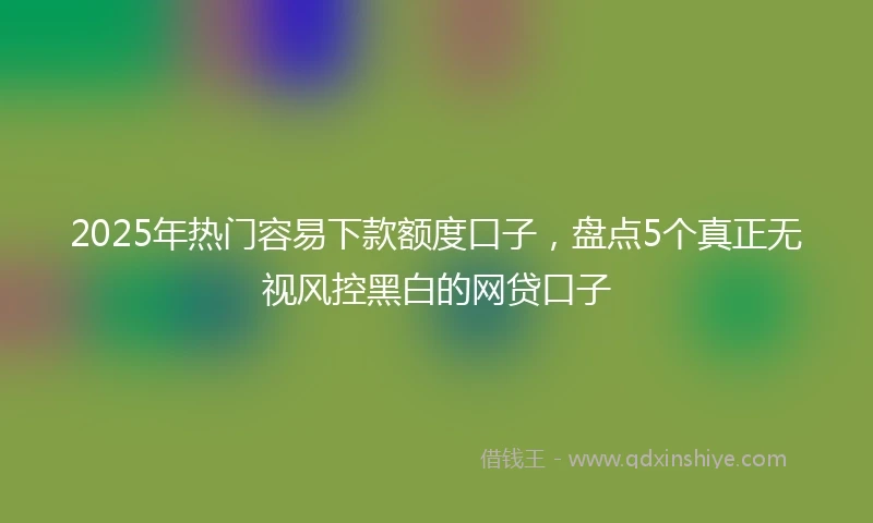 2025年热门容易下款额度口子，盘点5个真正无视风控黑白的网贷口子