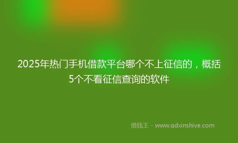 2025年热门手机借款平台哪个不上征信的，概括5个不看征信查询的软件