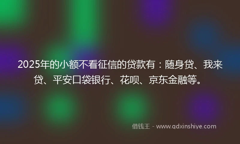 2025年的小额不看征信的贷款有：随身贷、我来贷、平安口袋银行、花呗、京东金融等。