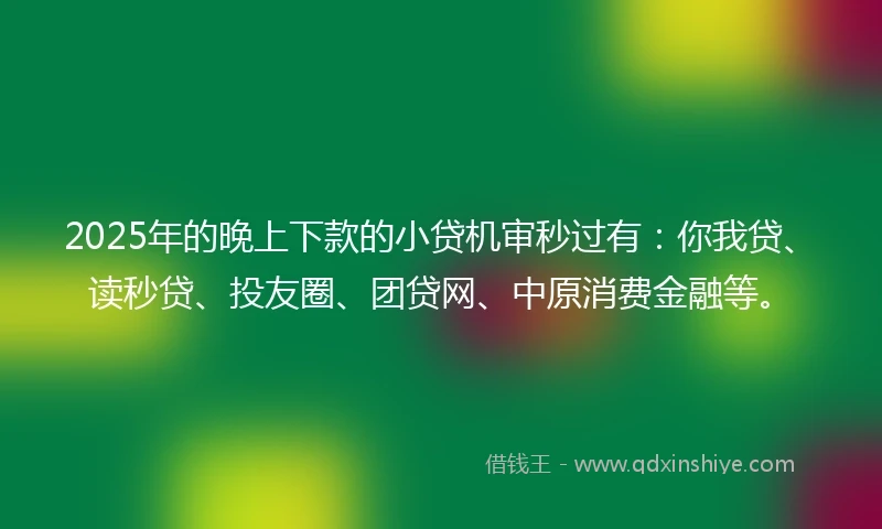 2025年的晚上下款的小贷机审秒过有：你我贷、读秒贷、投友圈、团贷网、中原消费金融等。
