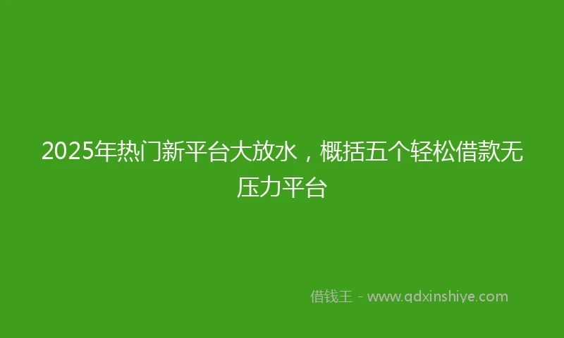 2025年热门新平台大放水，概括五个轻松借款无压力平台
