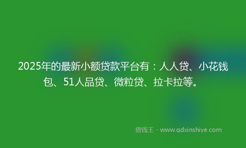2025年的最新小额贷款平台有：人人贷、小花钱包、51人品贷、微粒贷、拉卡拉等。