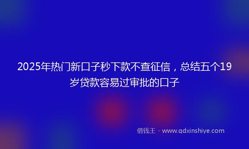 2025年热门新口子秒下款不查征信，总结五个19岁贷款容易过审批的口子
