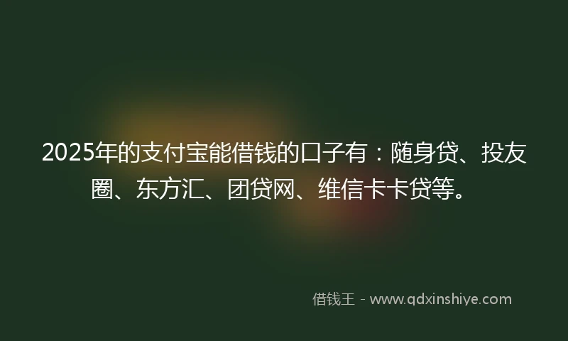 2025年的支付宝能借钱的口子有：随身贷、投友圈、东方汇、团贷网、维信卡卡贷等。