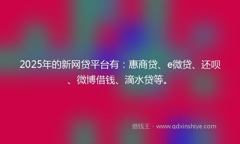 2025年的新网贷平台有：惠商贷、e微贷、还呗、微博借钱、滴水贷等。